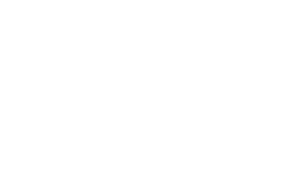 The Fox